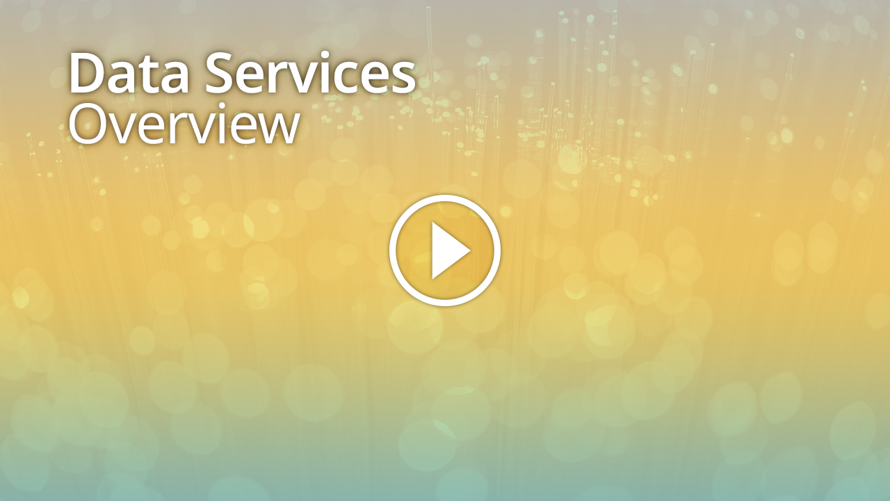 Data Services Overview